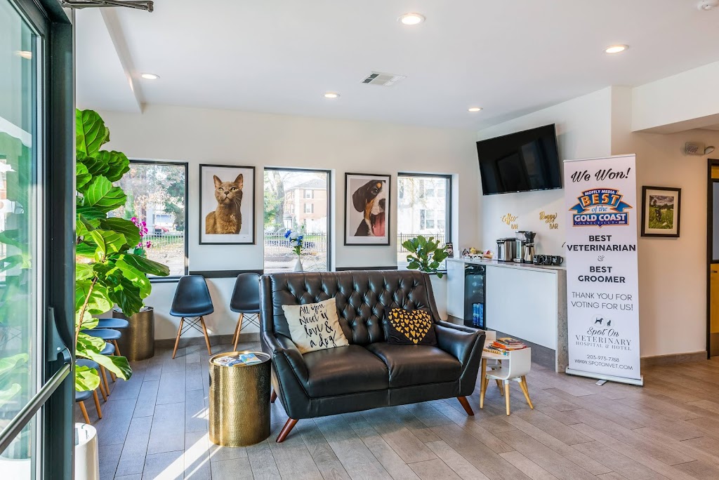 The Spot Costa Mesa | 1651 Placentia Ave, Costa Mesa, CA 92627, USA | Phone: (949) 891-4604