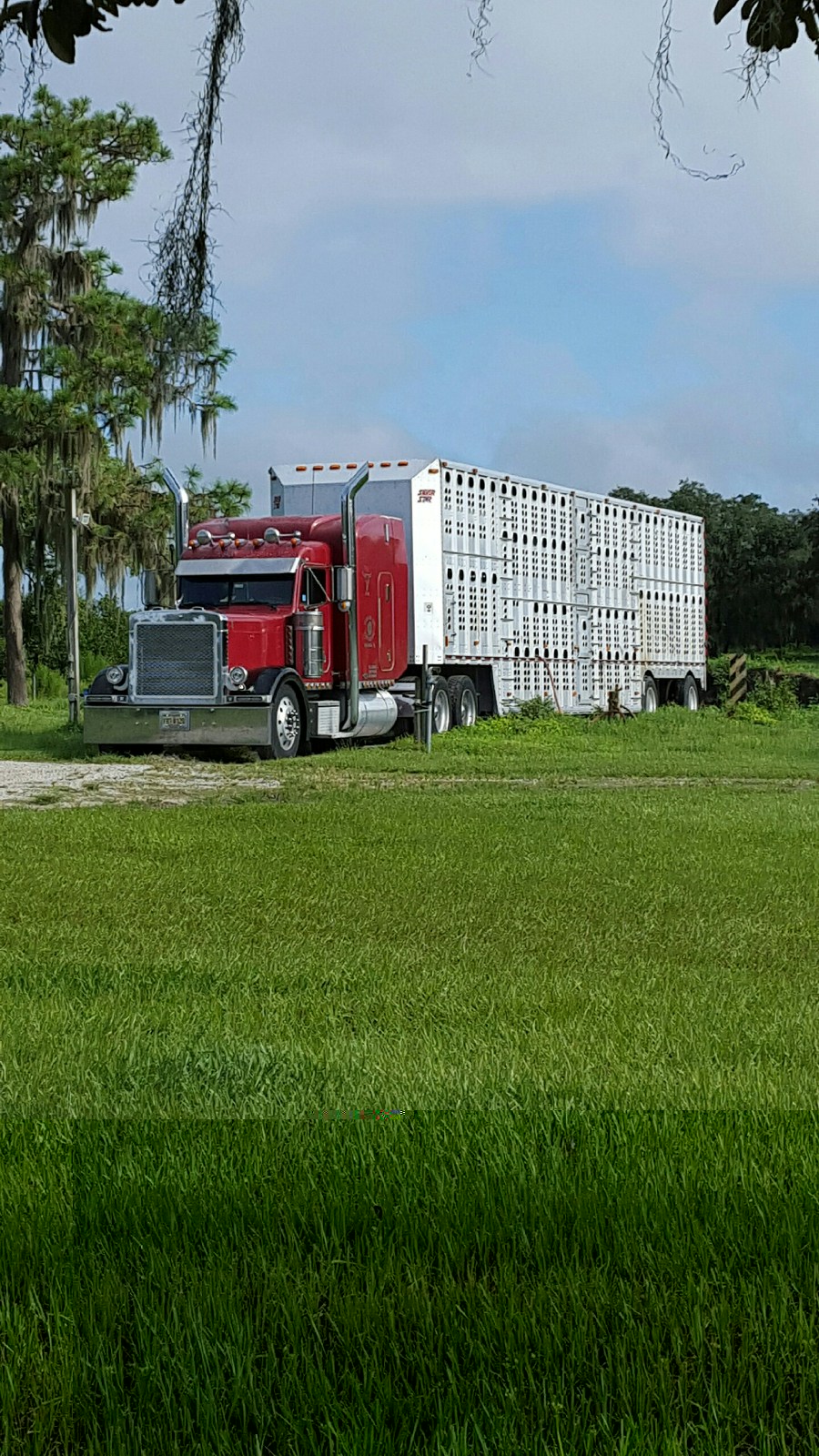 Circle Vs Trucking Inc | 298 S Barlow Rd, Wauchula, FL 33873, USA | Phone: (863) 773-4817