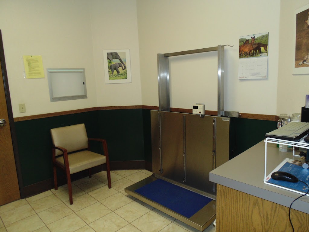 Hazel Ridge Veterinary Clinic | 4347 Hazel Ave, Fair Oaks, CA 95628, USA | Phone: (916) 965-8200