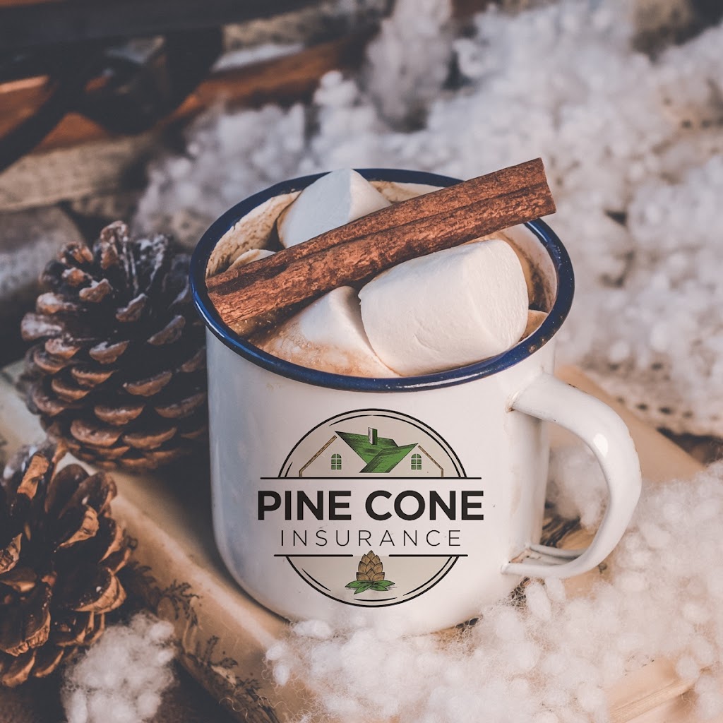 Pine Cone Insurance, Evergreen | 7324 S Heiter Hill Dr, Evergreen, CO 80439, USA | Phone: (303) 945-5466