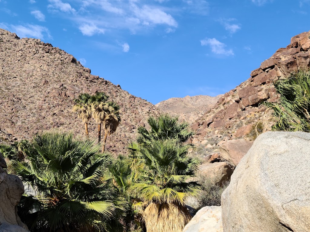 Borrego Palm Canyon Trailhead & Parking | Unnamed Road, Borrego Springs, CA 92004, USA | Phone: (760) 767-4037