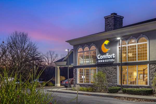 Comfort Inn & Suites East Greenbush - Albany | 99 Miller Rd, Castleton, NY 12033, USA | Phone: (347) 382-9645