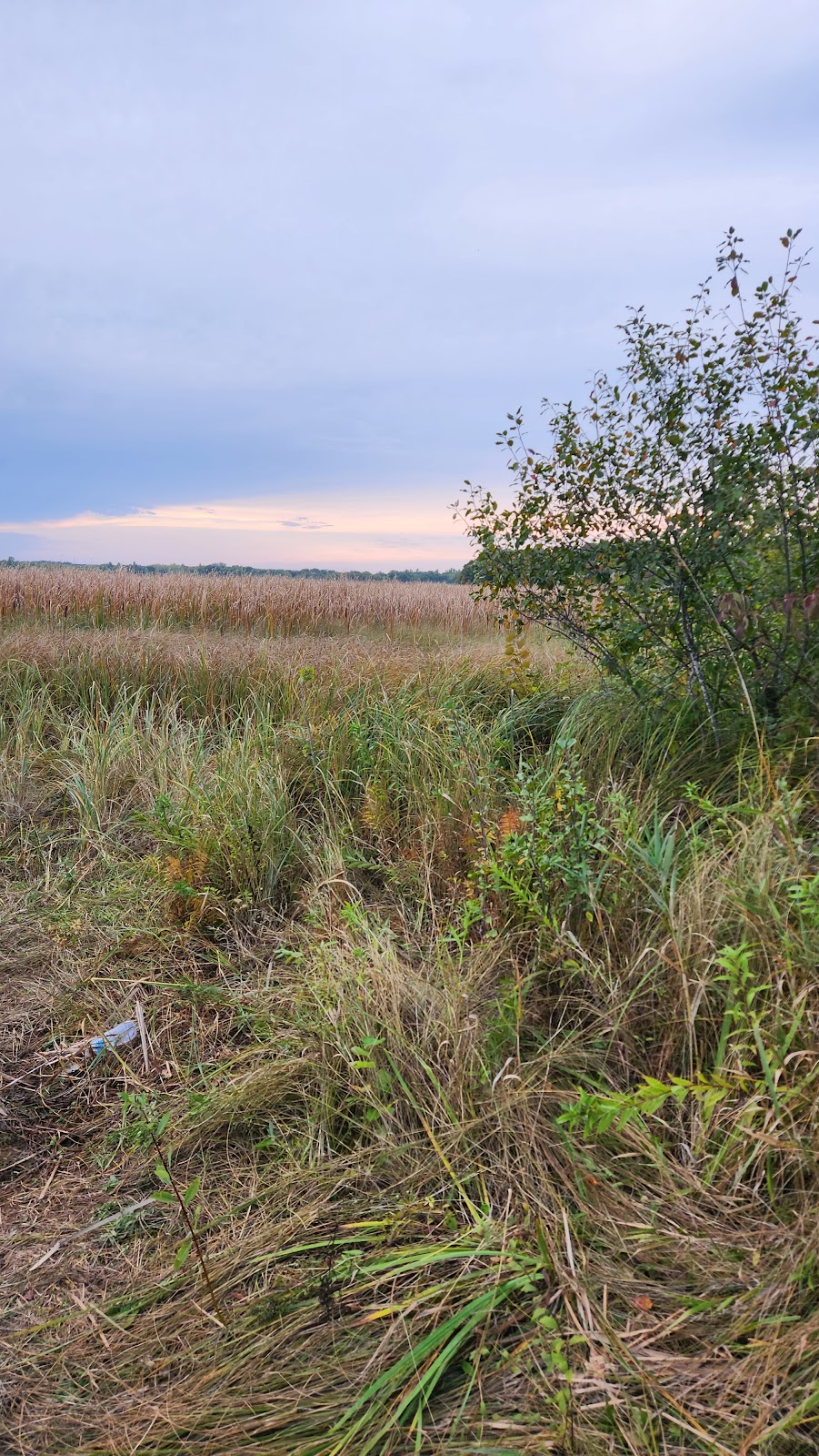 Marget Lake State Wildlife Management Area | Isanti, MN 55040, USA | Phone: (651) 296-6157