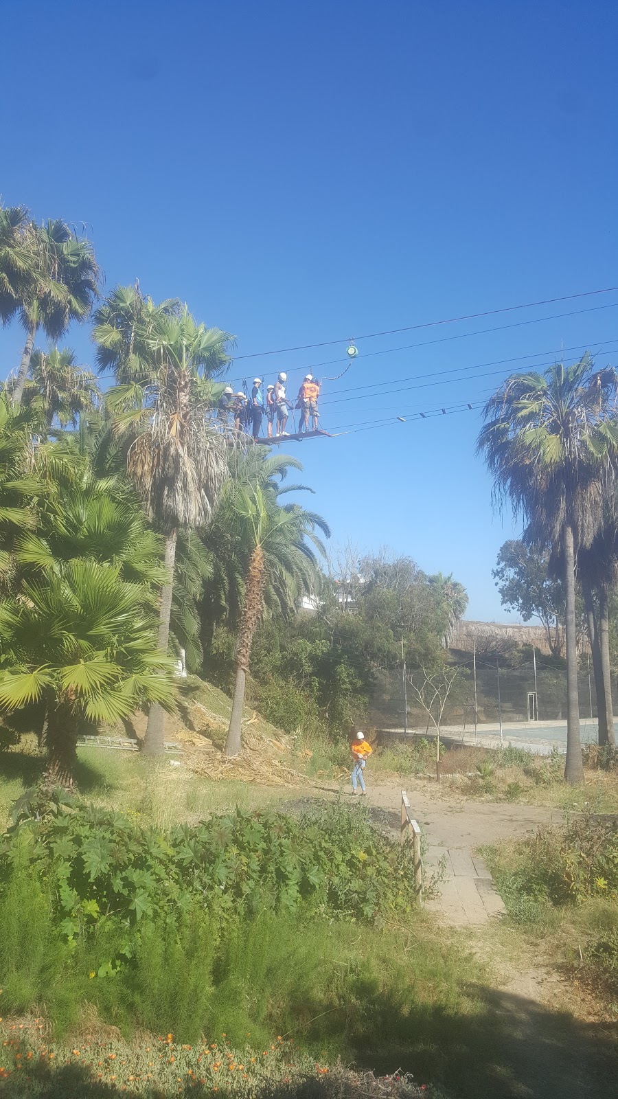 Pikin Parque de Altura | México 1, 41707 B.C., Mexico | Phone: 664 364 8246