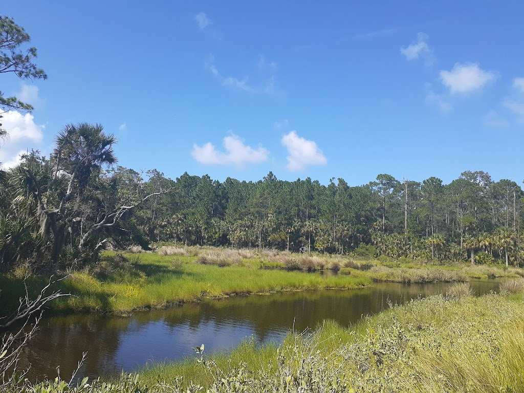 Belmore State Forest - Satsuma Tract | 4980 FL-16 W, Starke, FL 32091 | Phone: (904) 529-2358