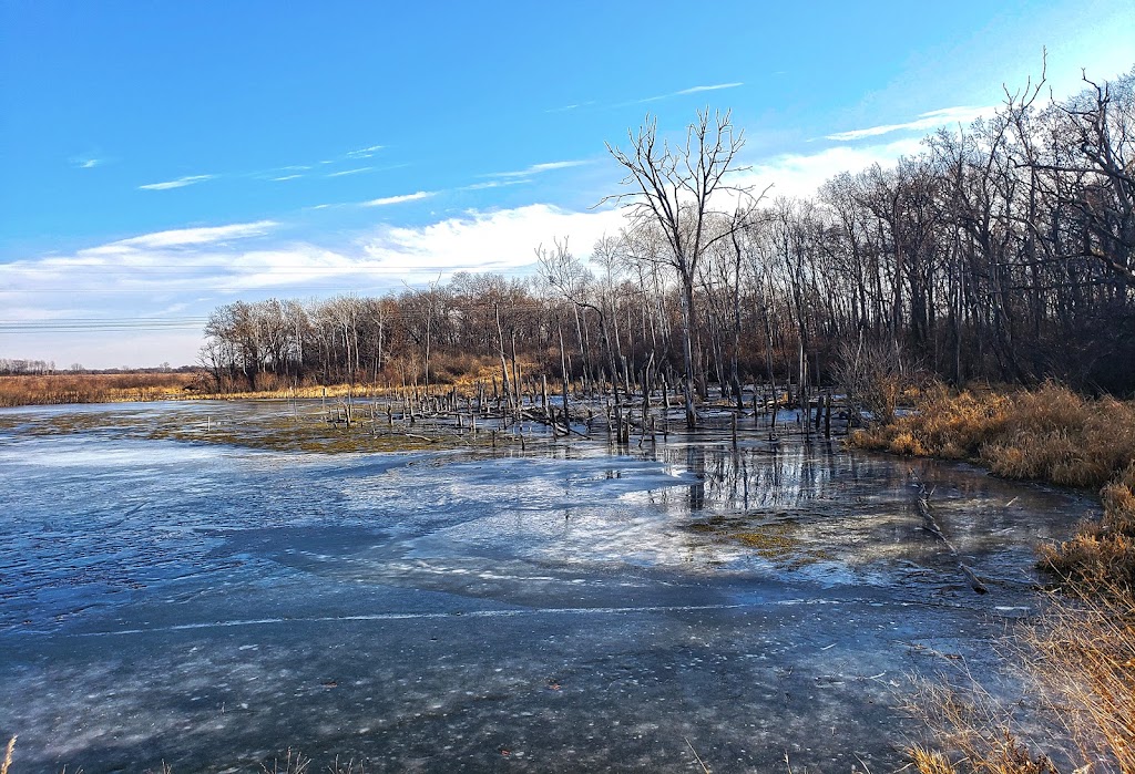 Rose Lake State Natural Area | W6509 Jones Ln, Fort Atkinson, WI 53538, USA | Phone: (920) 674-7260