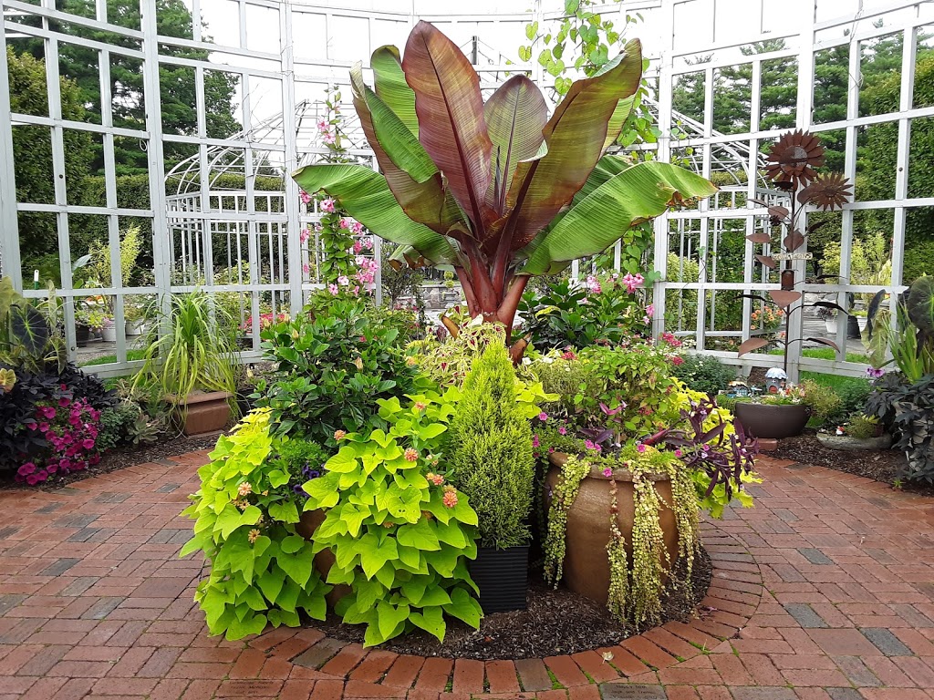 Taylor Conservatory & Botanical Gardens | 22314 Northline Rd, Taylor, MI 48180 | Phone: (888) 383-4108