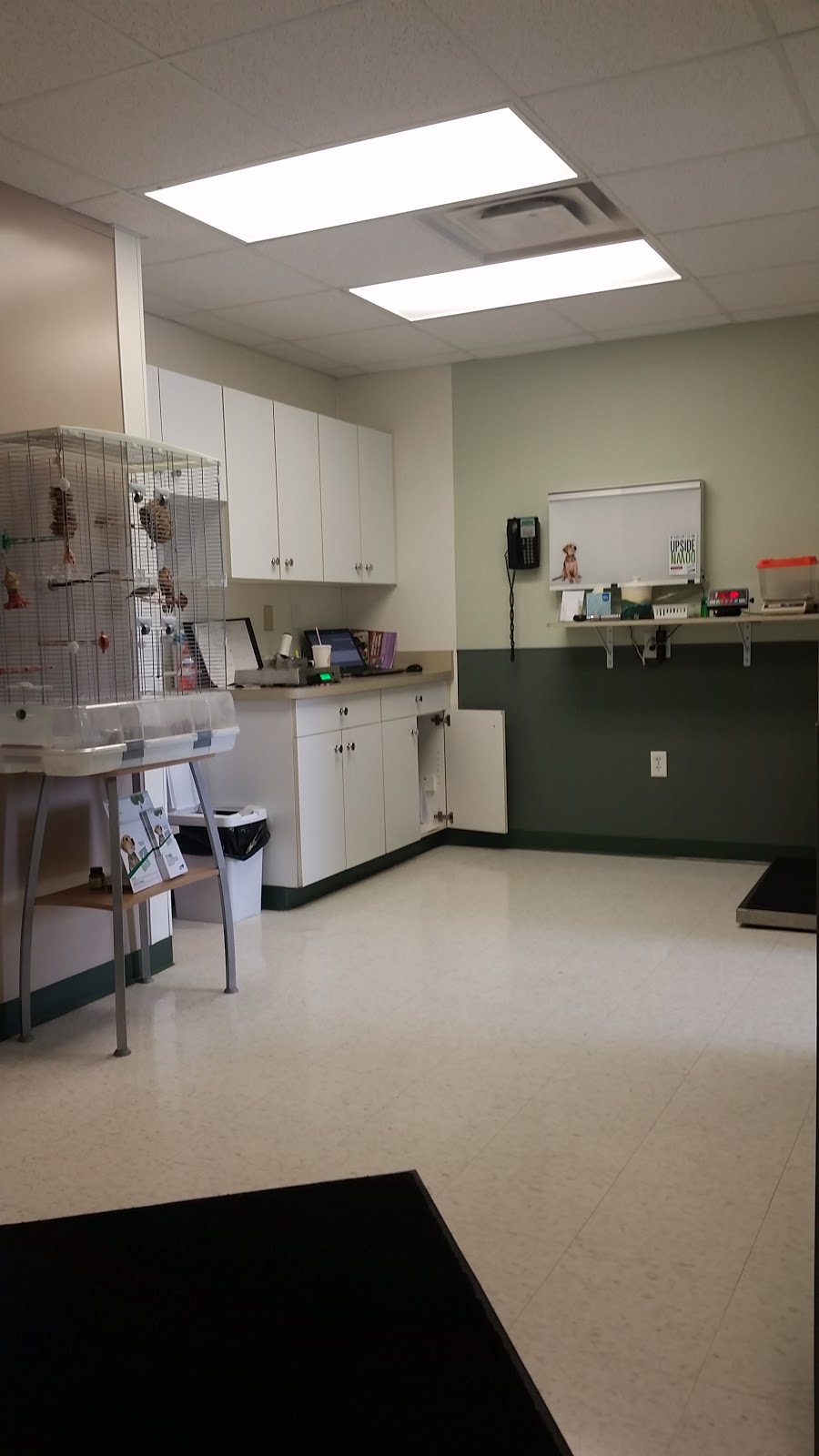 Animal Clinic Wadsworth | 919 West St, Wadsworth, OH 44281, USA | Phone: (330) 334-8387