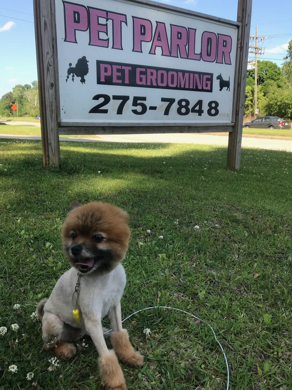 Pet Parlor Pet Grooming ,LLC | 12615 Greenwell Springs Rd, Baton Rouge, LA 70814, USA | Phone: (225) 275-7848