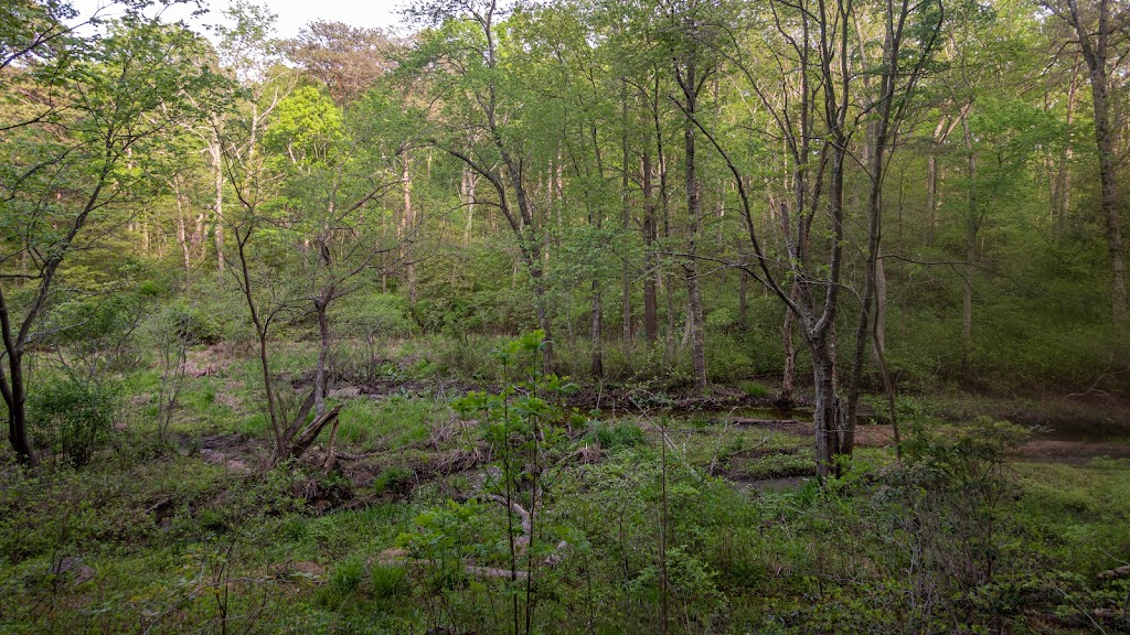 Cattail Creek Natural Area | Severna Park, MD 21146, USA | Phone: (443) 679-6575