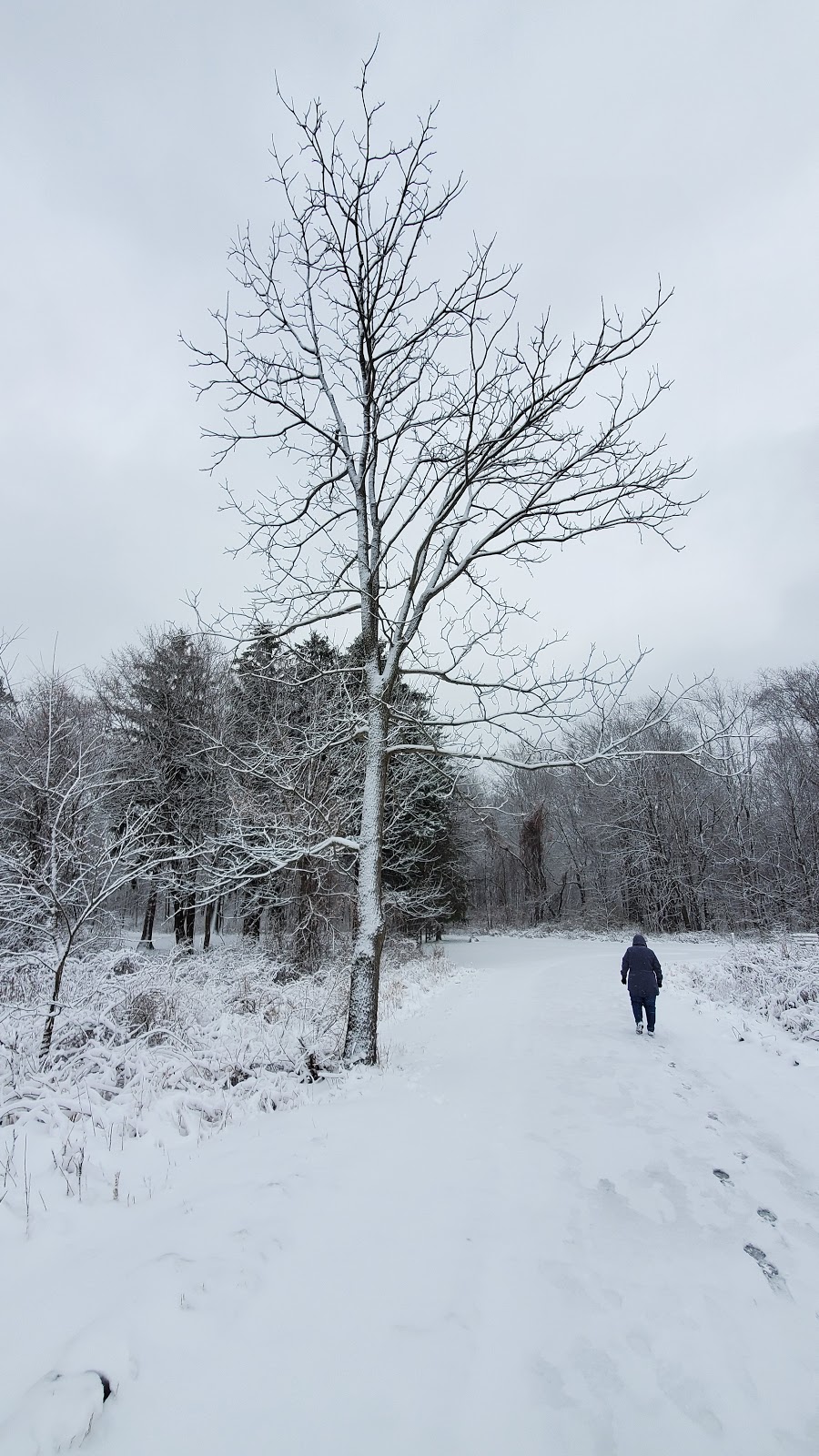 Meadow View Shelter - Munroe Falls Metro Park | 1088 North Ave, Tallmadge, OH 44278, USA | Phone: (330) 867-5511