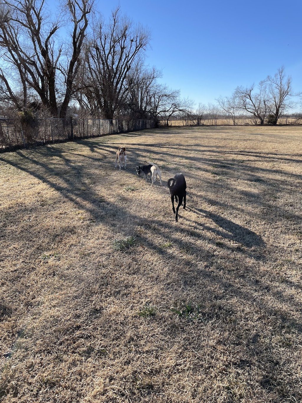 Pets & People Humane Society | 9733 NW 4th St, Oklahoma City, OK 73127, USA | Phone: (405) 367-7156