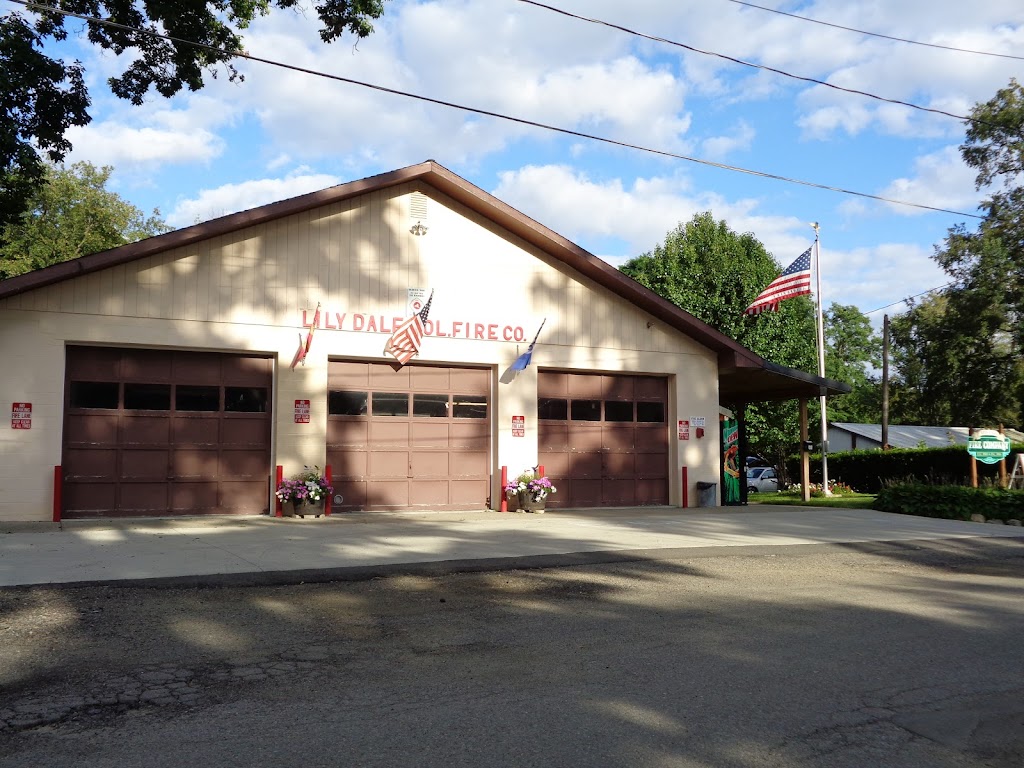 Lily Dale Volunteer Fire Station | 17 East St, Lily Dale, NY 14752 | Phone: (716) 595-3090