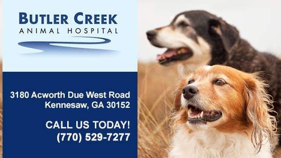 Butler Creek Animal Hospital | 3180 Acworth Due West Rd NW, Kennesaw, GA 30152, USA | Phone: (770) 529-7277