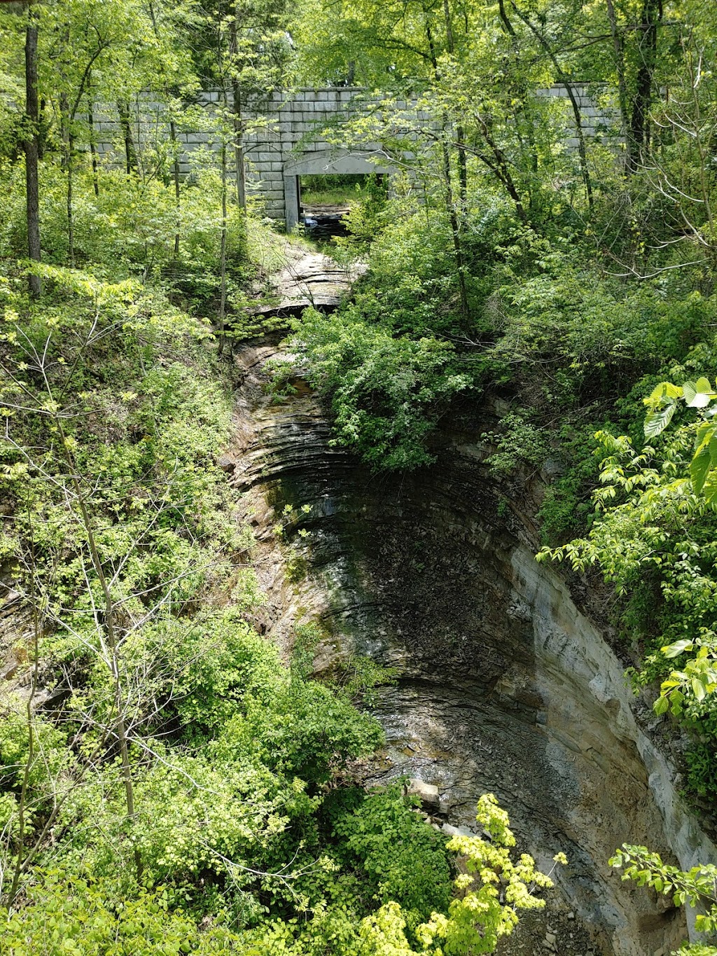 Limestone Gorge Trailhead | Louisville, KY 40299, USA | Phone: (502) 584-0350