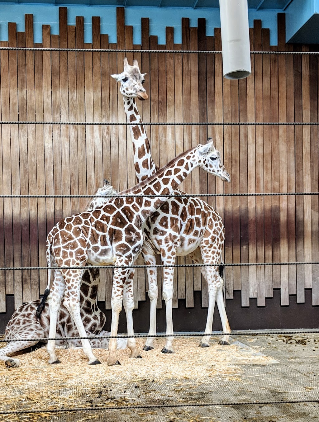 Milwaukee County Zoo | 10001 W Bluemound Rd, Milwaukee, WI 53226, USA | Phone: (414) 771-3040