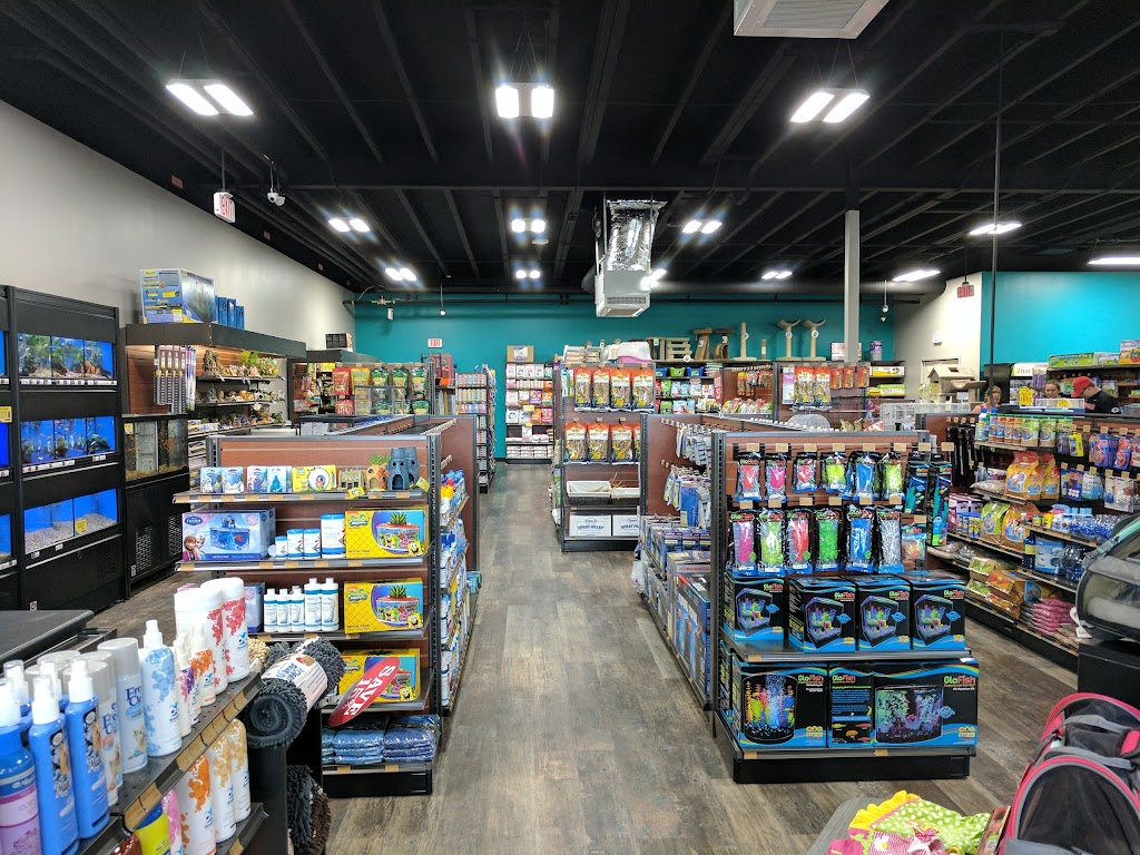 Pet Supermarket | 3149 GA-34, Newnan, GA 30265, USA | Phone: (678) 854-6279