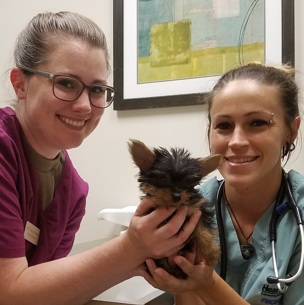 Langley Veterinary Clinic | 504 N Roma Rd, Hampton, VA 23665, USA | Phone: (757) 764-5678