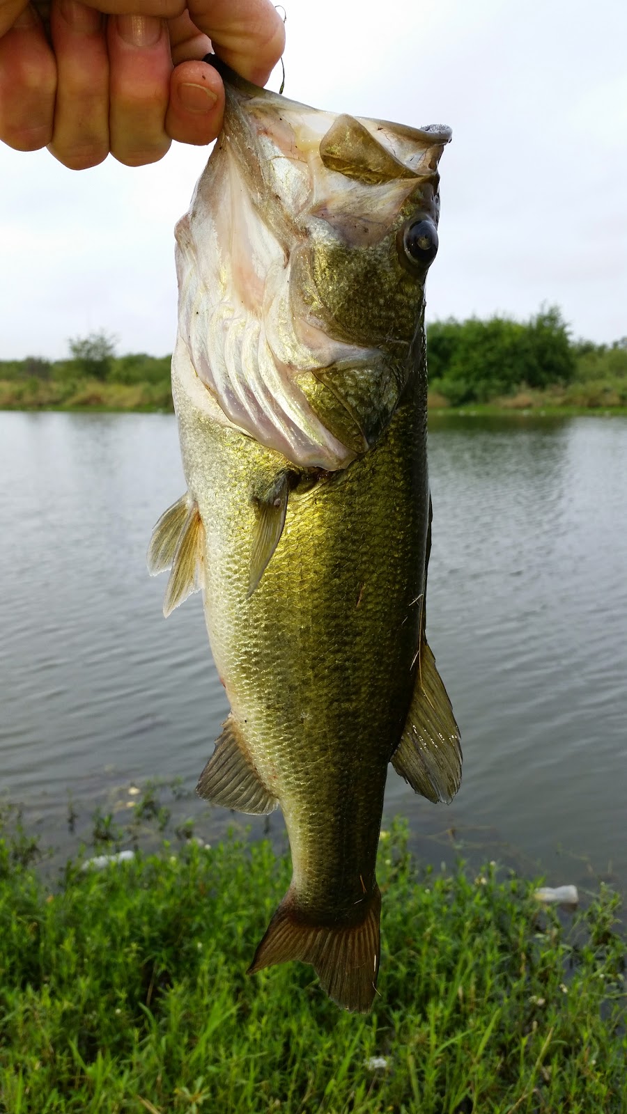 Lake Arlington Ranch MHP | 5137 Big Fork Rd, Fort Worth, TX 76119, USA | Phone: (817) 561-5800