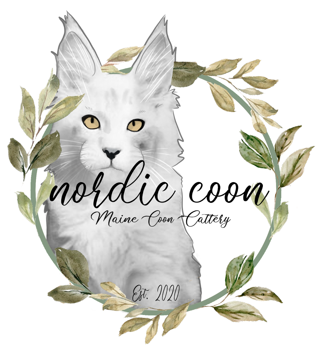Nordic Coon Maine Coon Cattery | 14320 186th Pl NE, Woodinville, WA 98072, USA | Phone: (425) 260-4287