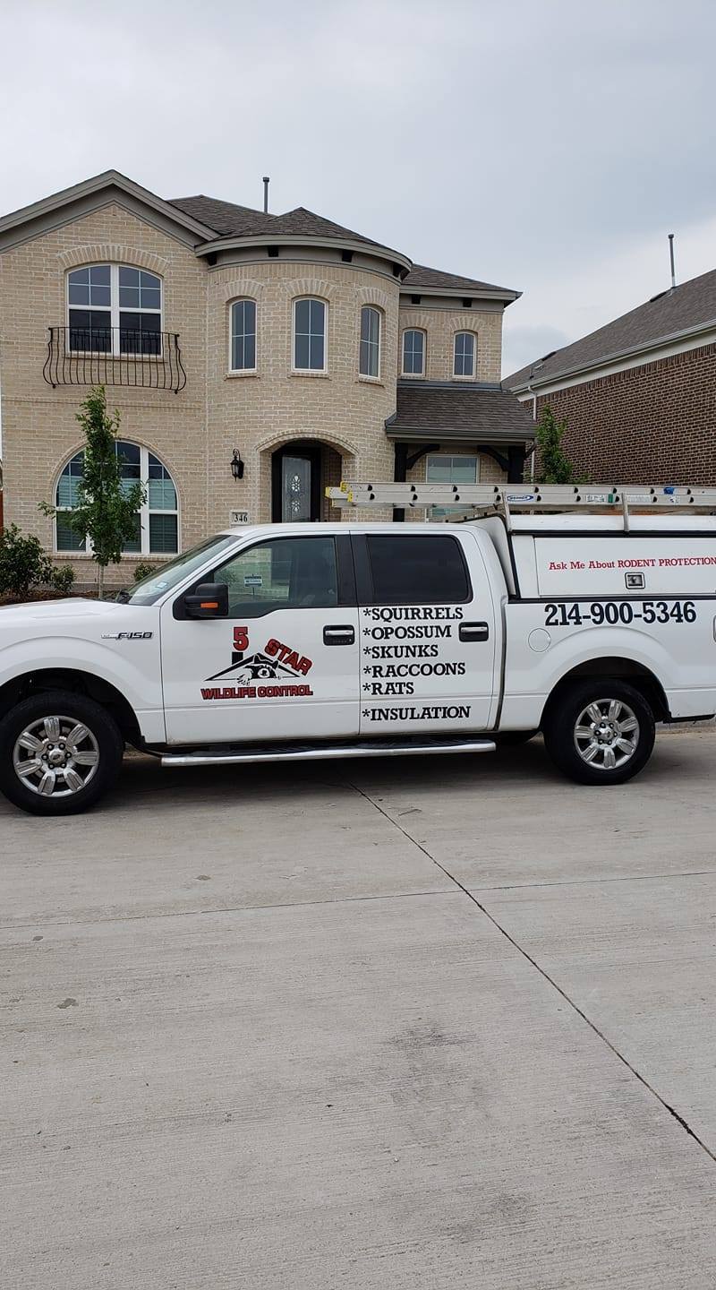 5 Star Wildlife Control | 829 Hardy Dr, Garland, TX 75041, USA | Phone: (214) 900-5346