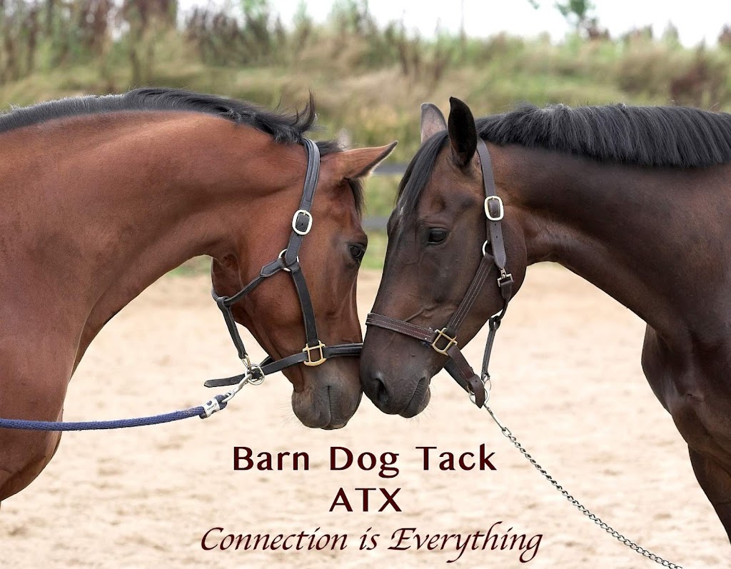 Barn Dog Tack Shop | 14425 Farm to Market Rd 1826 A, Austin, TX 78737, USA | Phone: (512) 566-3481