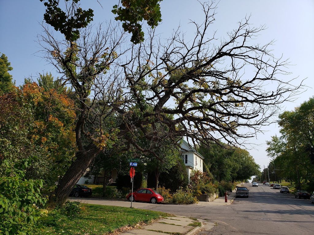 Audubon Park | 1320 29th Ave NE, Minneapolis, MN 55418, USA | Phone: (612) 370-4910