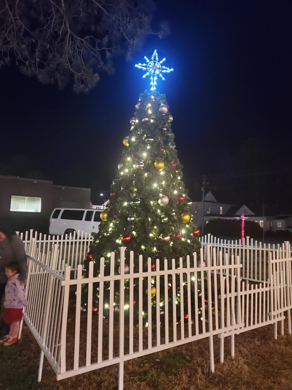 Lake Myra Christmas Light Show | 10 S Cypress St, Wendell, NC 27591, USA | Phone: (919) 339-2073