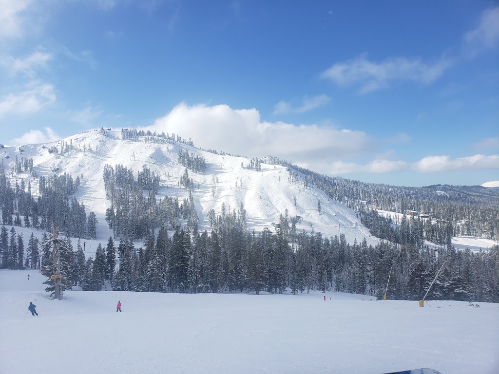 Sugar Bowl Resort | 629 Sugar Bowl Rd, Norden, CA 95724 | Phone: (530) 426-9000