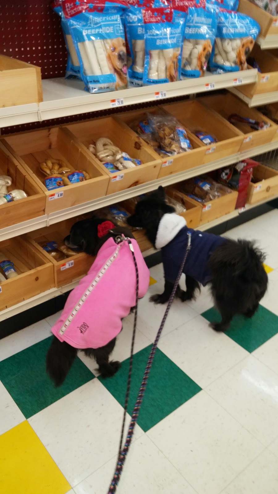 Pet Supplies Plus Adrian | 1099 US-223, Adrian, MI 49221, USA | Phone: (517) 266-7775