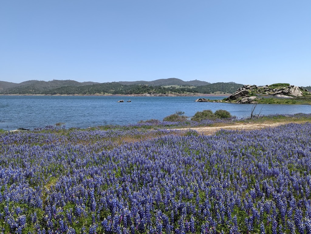 Folsom Lake State Recreation Area | 7755 Folsom-Auburn Rd, Folsom, CA 95630, USA | Phone: (916) 988-0205