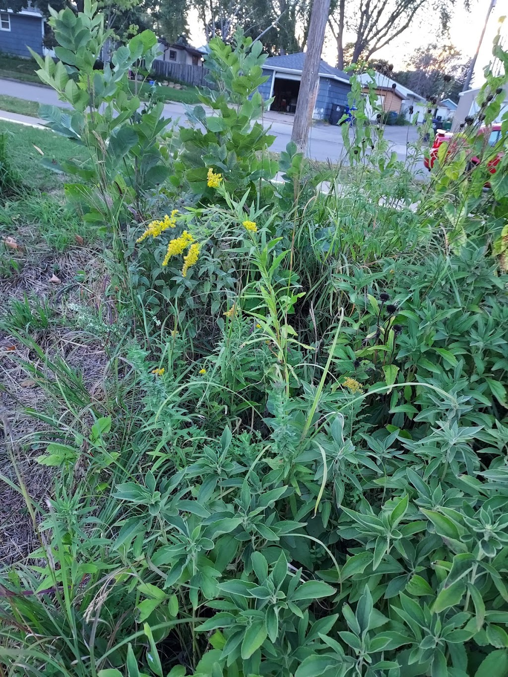 Hillcrest Knoll Park | 1672 Hoyt Ave E, St Paul, MN 55106, USA | Phone: (651) 632-5111