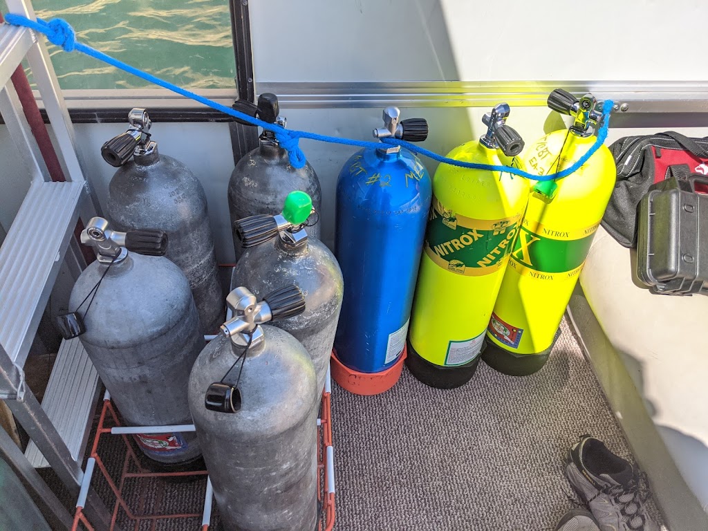 Desert Dog Diving | 6253 Autumn Creek Dr, Las Vegas, NV 89130, USA | Phone: (702) 769-6761