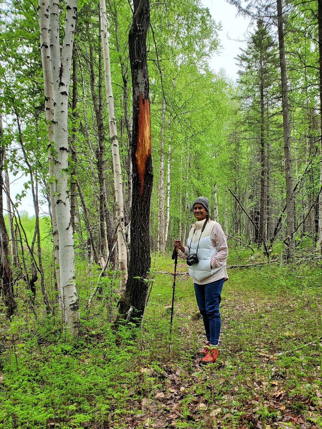 Nancy Lake State Recreation Area | Nancy Lake Pkwy, Willow, AK 99688, USA | Phone: (907) 745-3975