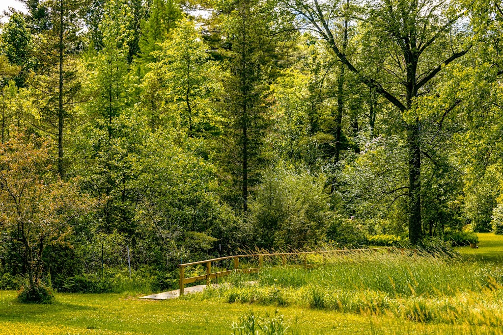 The Pine Hollow Arboretum | 34 Pine Hollow Rd, Slingerlands, NY 12159, USA | Phone: (518) 992-2033