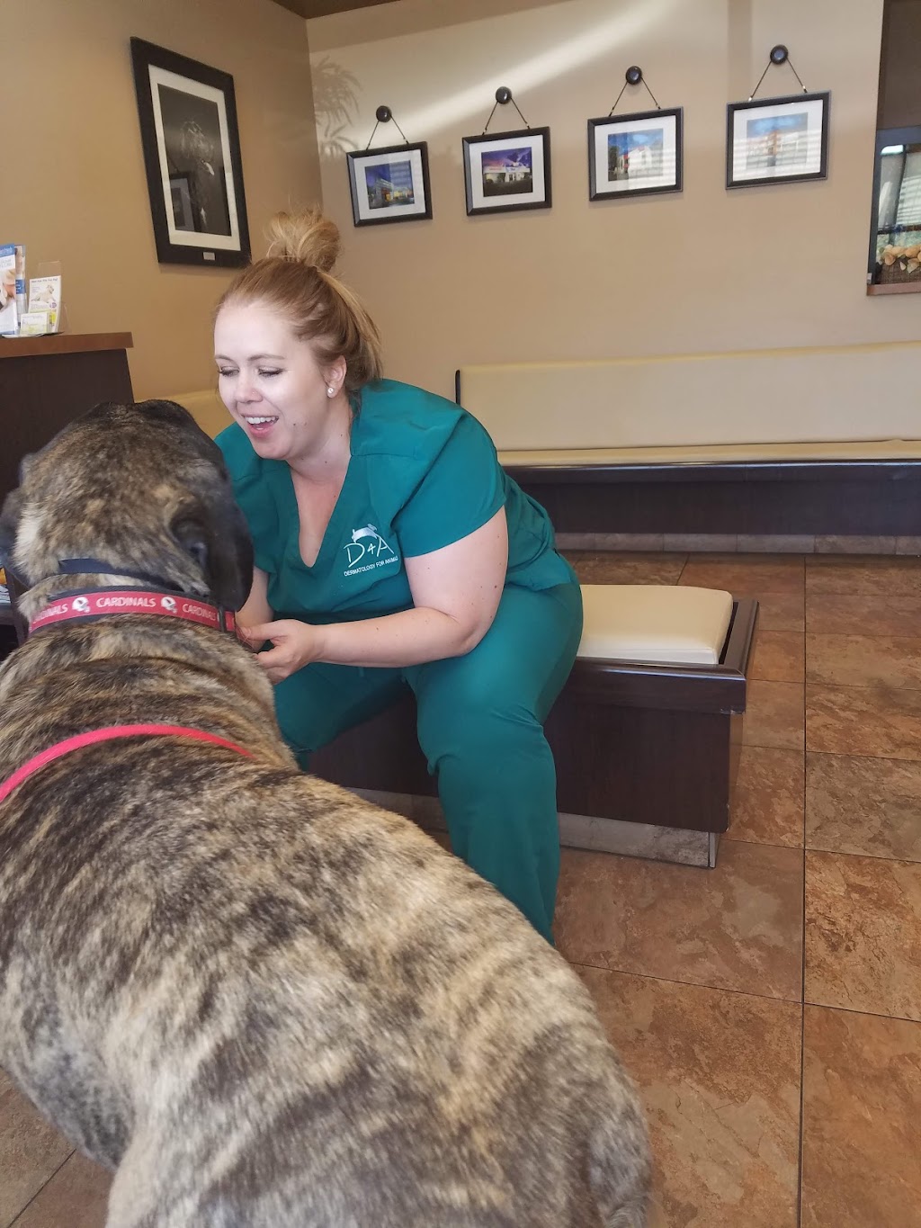 Dermatology for Animals - Scottsdale | 7908 E Chaparral Rd Suite 105, Scottsdale, AZ 85250, USA | Phone: (480) 443-0679