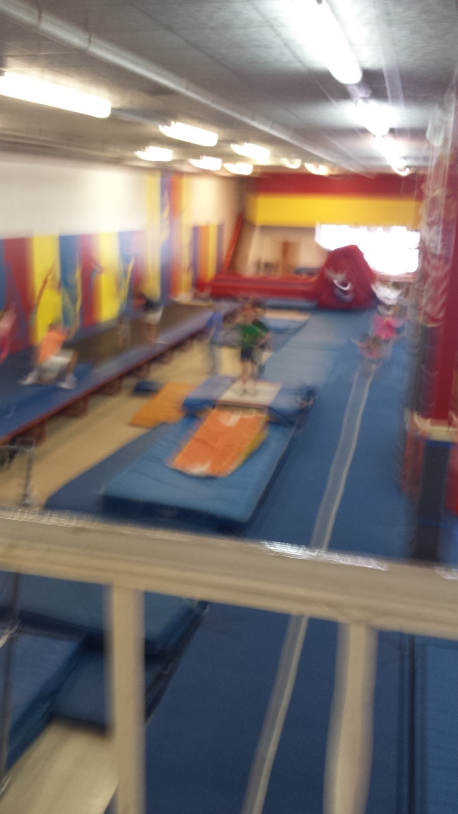 Thoroughbred Gymnastics Inc | 645 Westmeade Dr, Winchester, KY 40391, USA | Phone: (859) 744-7068