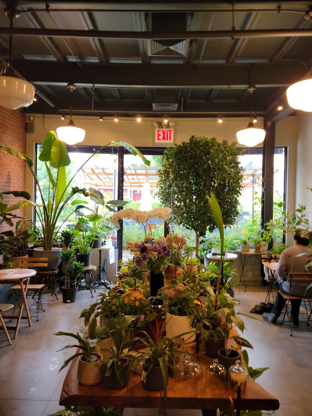 Kunst Coffee Haus | 212-08 41st Ave, Bayside, NY 11361, USA | Phone: (718) 819-8516