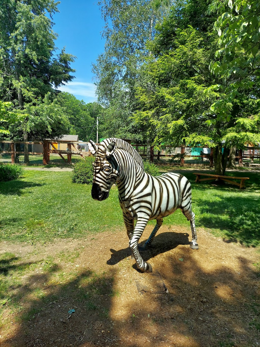 Lupa Zoo | 62 Nash Hill Rd, Ludlow, MA 01056, USA | Phone: (413) 583-8370