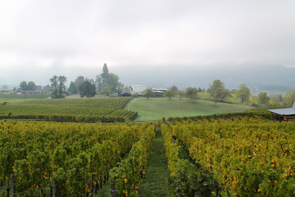 Wine Tours Northwest | 15714 NW Clubhouse Dr, Portland, OR 97229, USA | Phone: (503) 439-8687