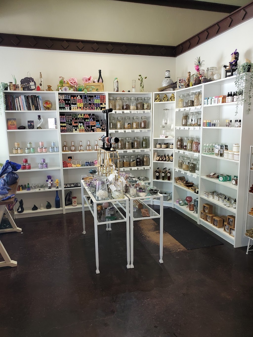 Flowology | 2410 W Abram St, Arlington, TX 76013, USA | Phone: (817) 583-6767