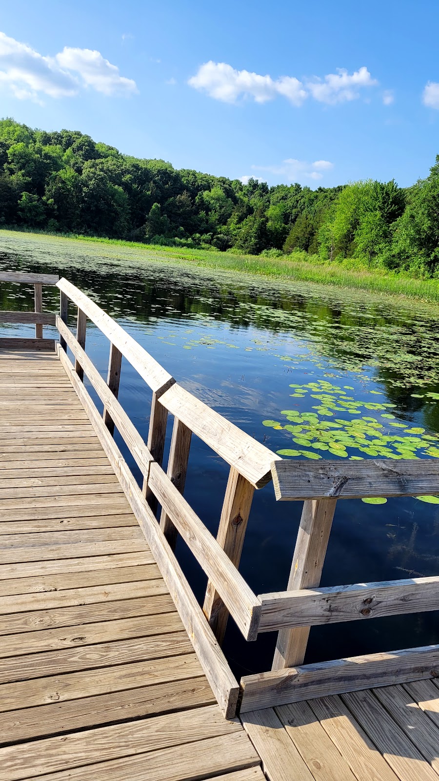 Crooked Lake Rustic Campground | Dexter, MI 48130, USA | Phone: (800) 447-2757