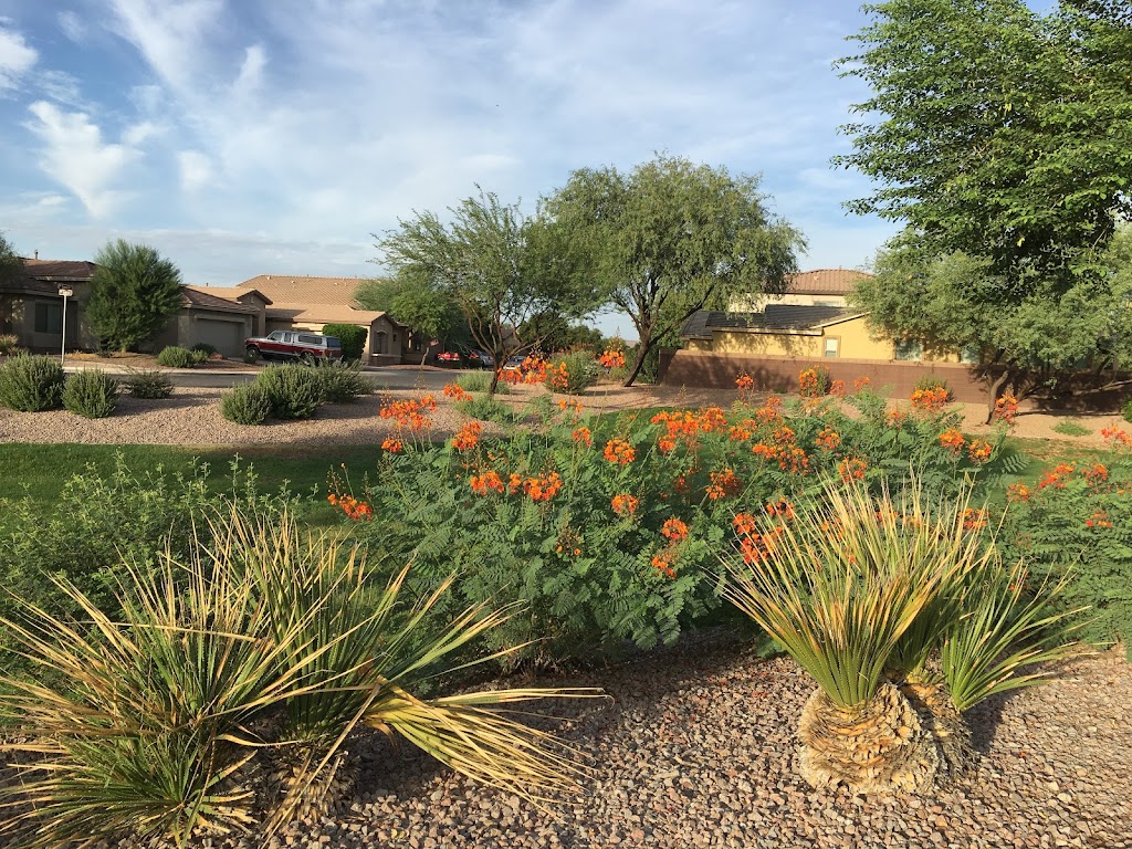 SANANGA CARE HOMES - Behavioral Healthcare Residential Facility. | 41996 W Quinto Dr, Maricopa, AZ 85138, USA | Phone: (520) 510-5057
