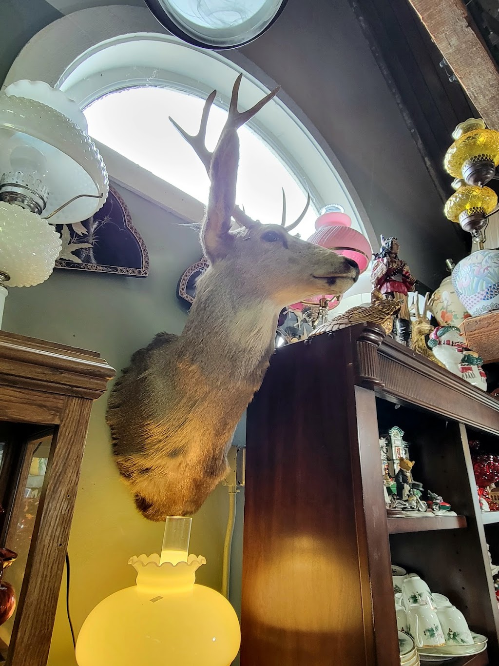 Jackie’s House of Antiques | 14157 River Rd, Walnut Grove, CA 95690, USA | Phone: (925) 864-2374