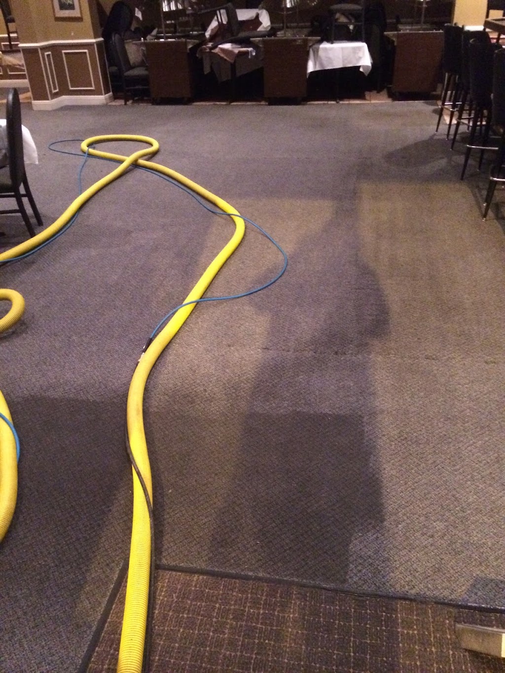 Tiger Carpet Steamers & Water Restoration | 20605 Benton Ln, Livingston, LA 70754, USA | Phone: (225) 726-3021