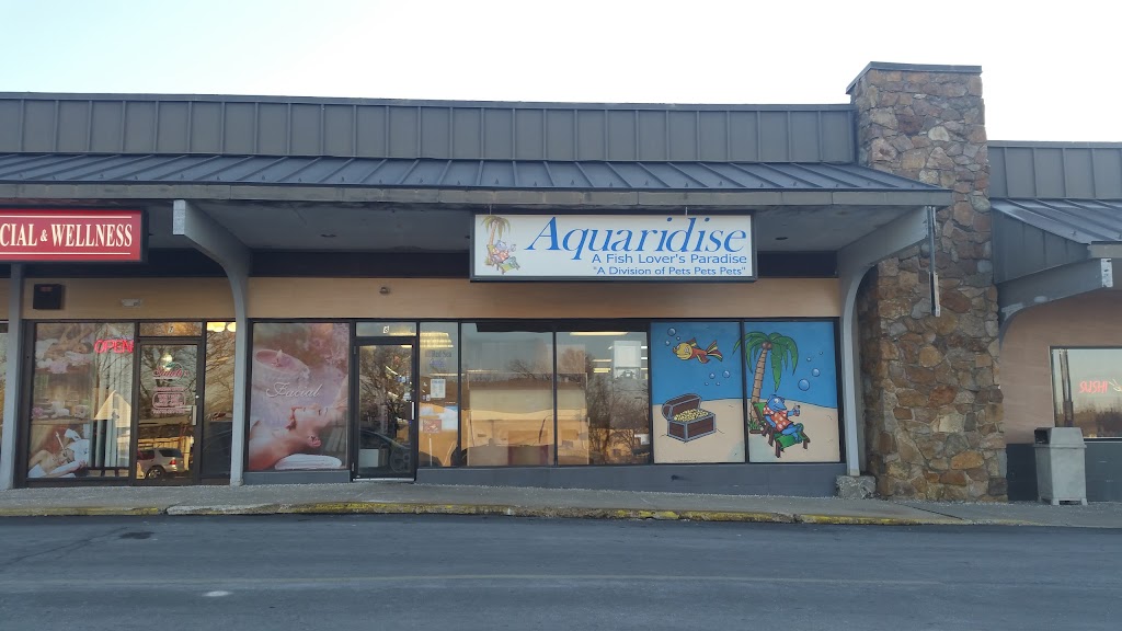 Aquaridise | 415 NJ-18, East Brunswick, NJ 08816, USA | Phone: (732) 967-9700