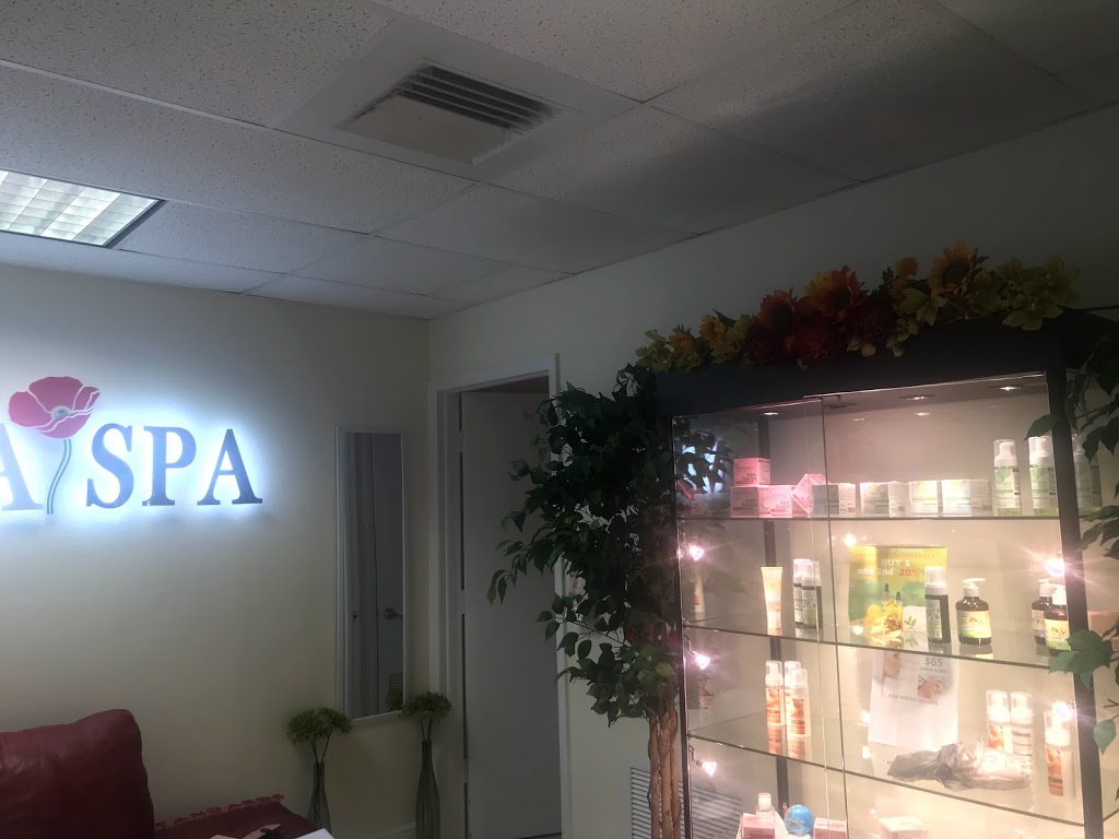 Muza Spa European Standards | 7819 N Dale Mabry Hwy UNIT 201, Tampa, FL 33614, USA | Phone: (813) 563-6050