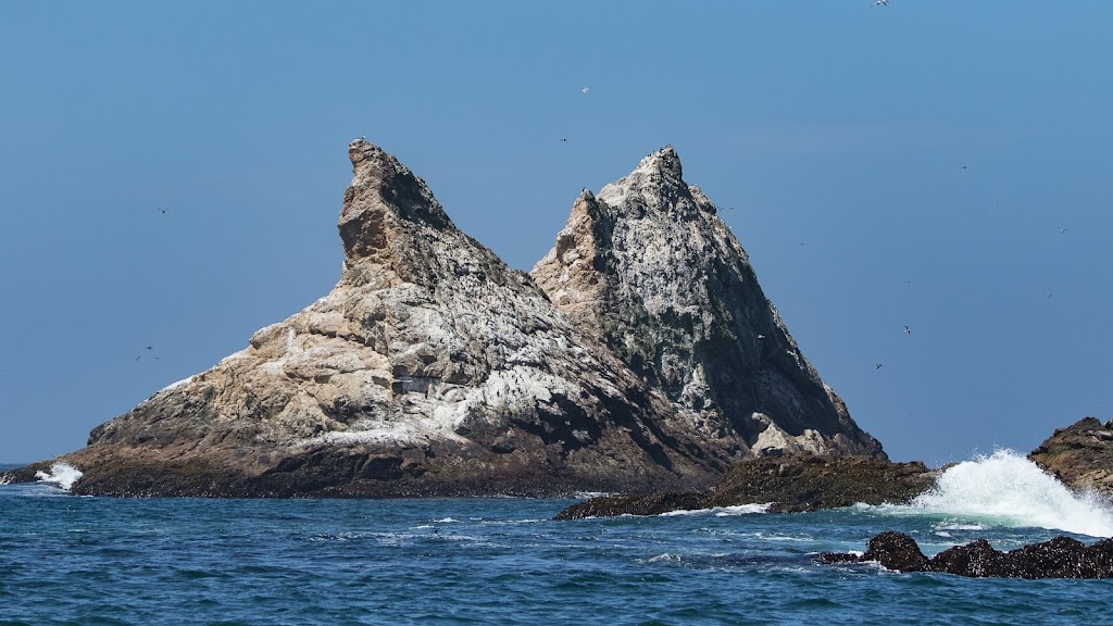 Farallon Islands | San Francisco, CA, USA | Phone: (415) 561-6625