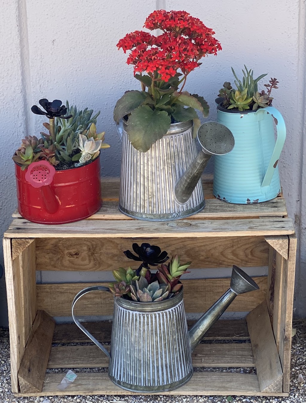 Myzenery | 20601 CA-18 #112, Apple Valley, CA 92307, USA | Phone: (760) 885-8966