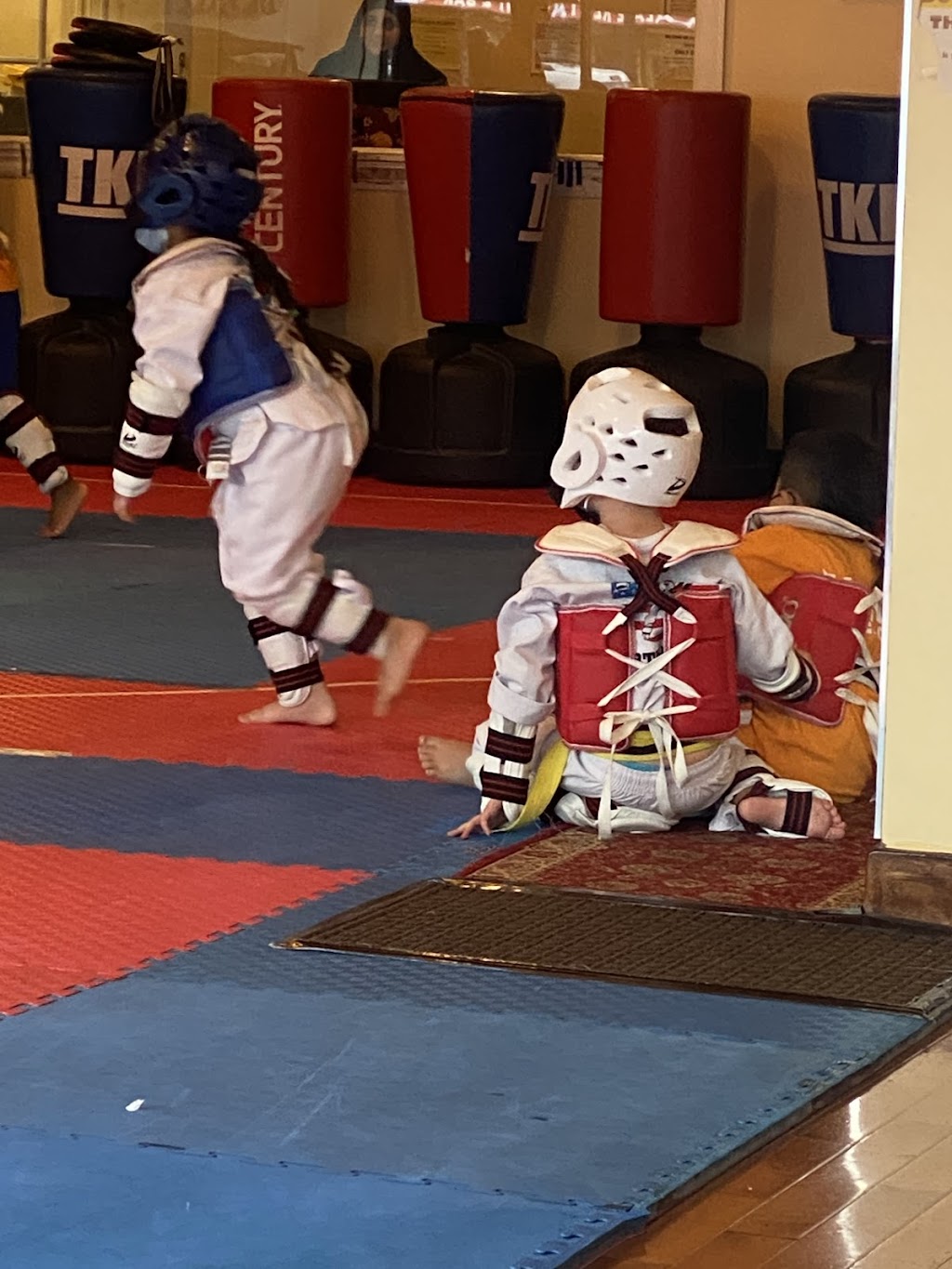 Team US Taekwondo Martial Arts | 245-25 Jericho Turnpike, Queens, NY 11426, USA | Phone: (718) 749-5980